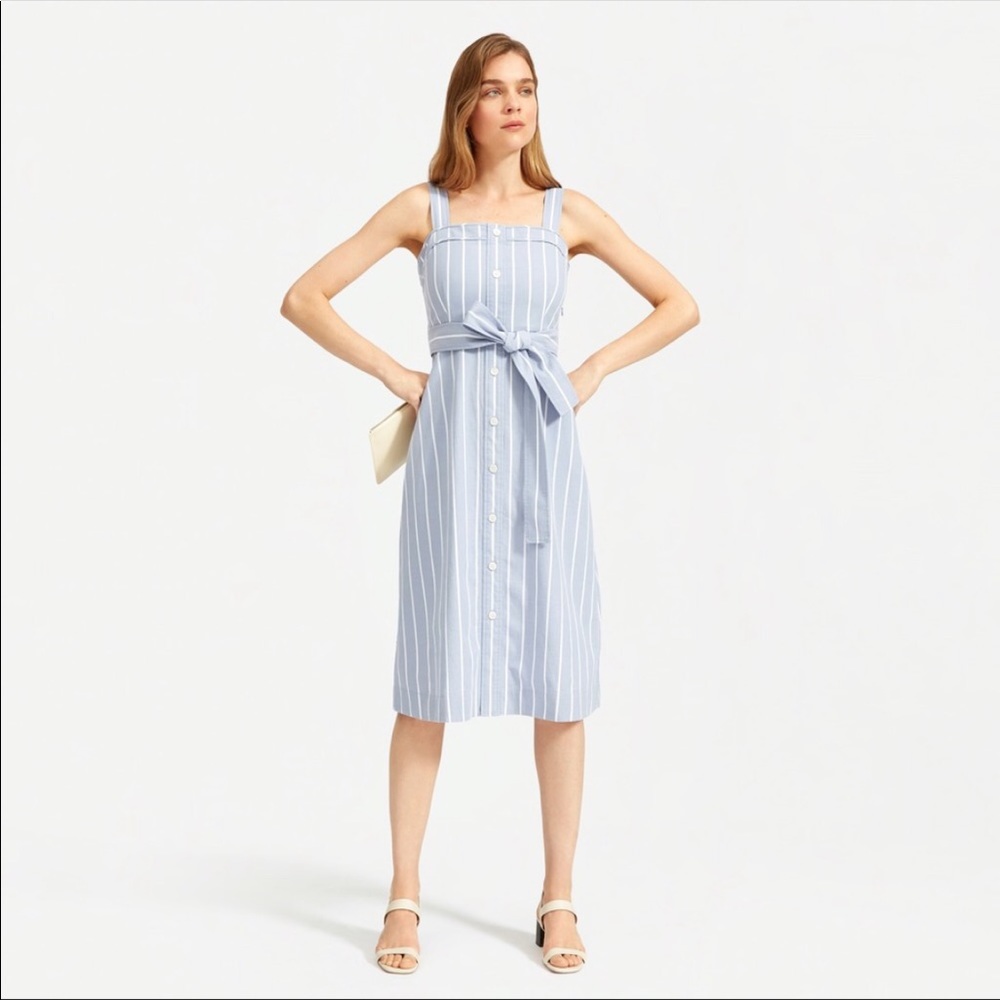 Everlane cotton weave picnic dress, blue/white wide stripe